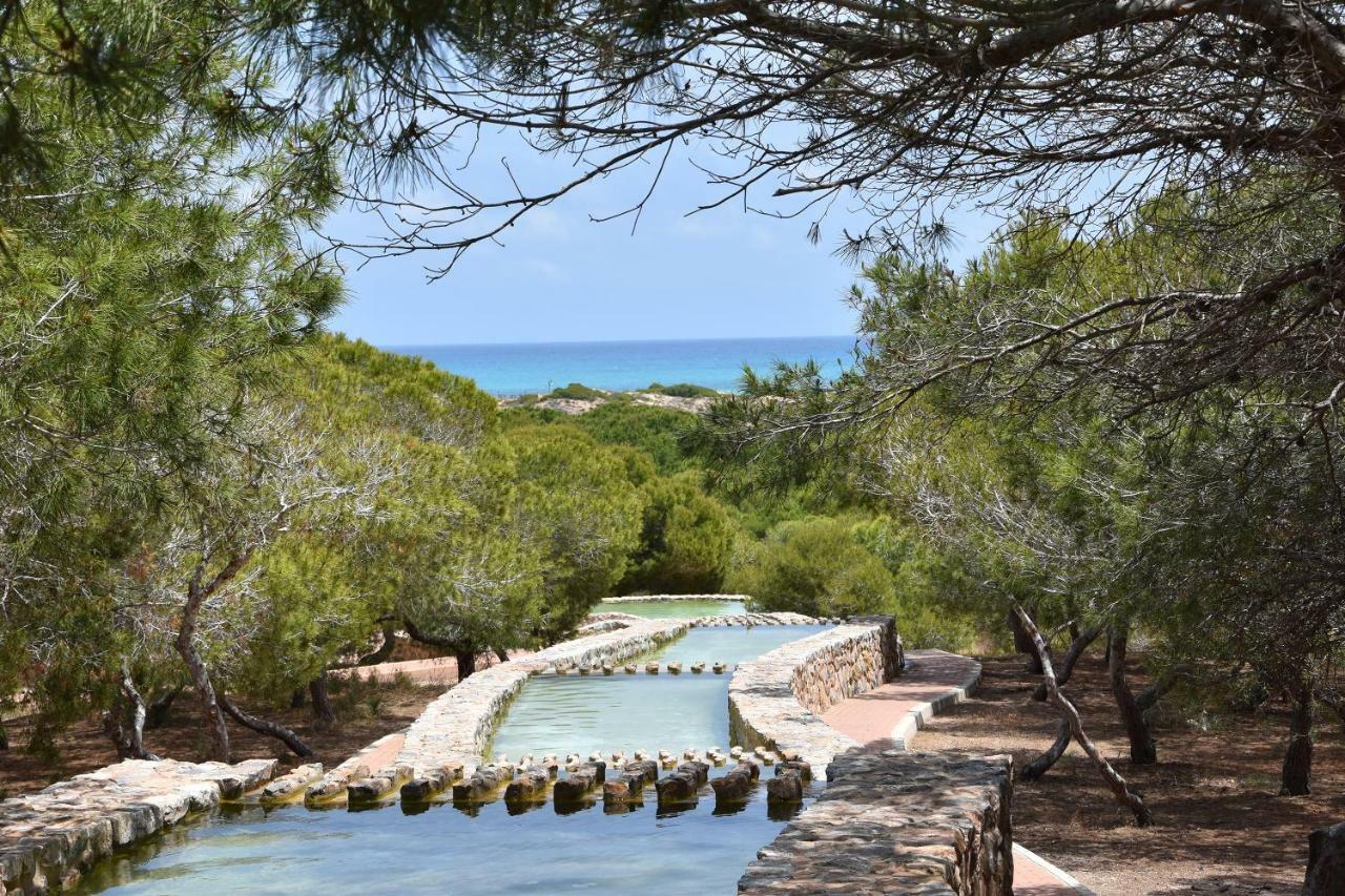 Apartment Vinamar III - Sunny La Mata Ла-Мата Екстер'єр фото